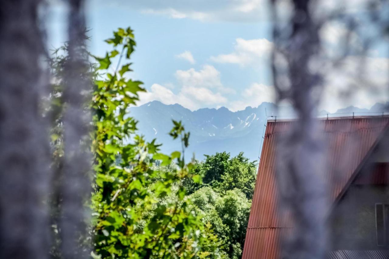 Willa Goralska Biały Dunajec Exteriör bild